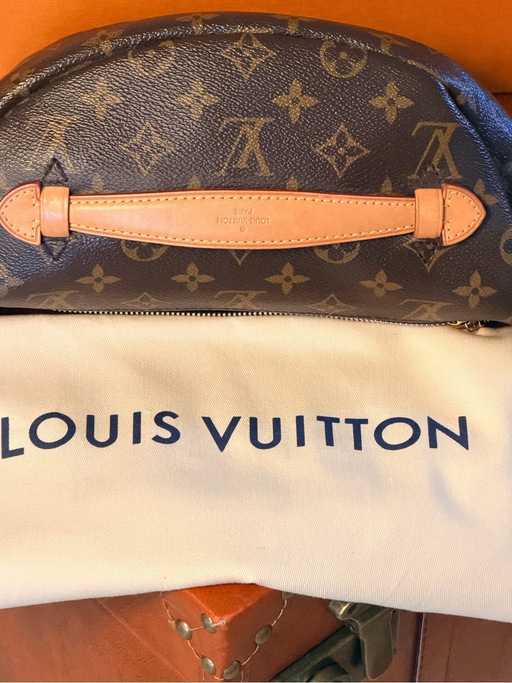 Louis Vuitton Monogram Bum Bag - Brown Monogram Canvas✨ - Picture 4 of 14